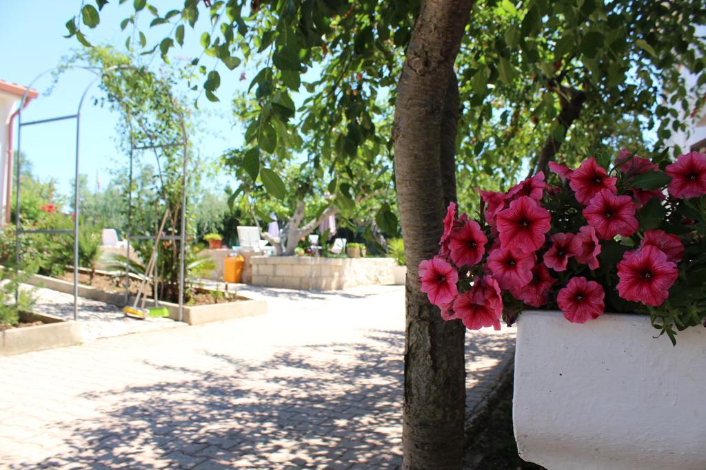 I Sapori Del Gargano Pension Vieste Buitenkant foto